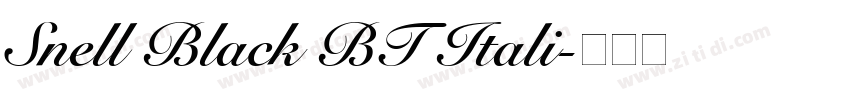 Snell Black BT Itali字体转换